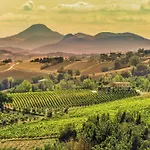 W Wine Tours Near Villa