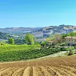 W Wine Tours Near * Barchi