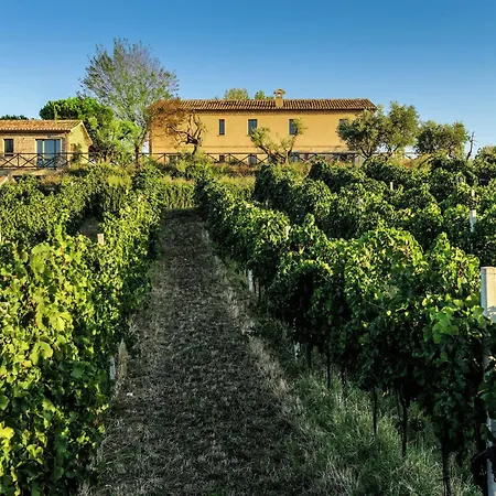 W Wine Tours Near * Barchi