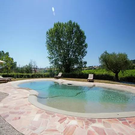 W Wine Tours Near Villa Barchi