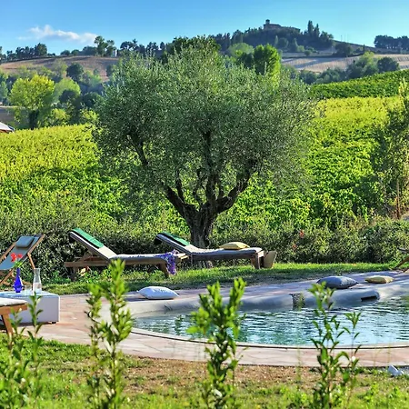 W Wine Tours Near Villa *