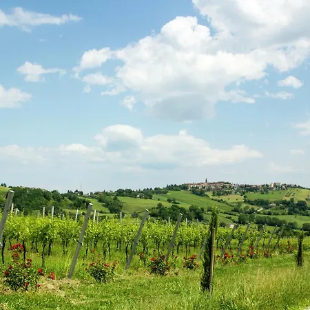 Villa W Wine Tours Near Barchi