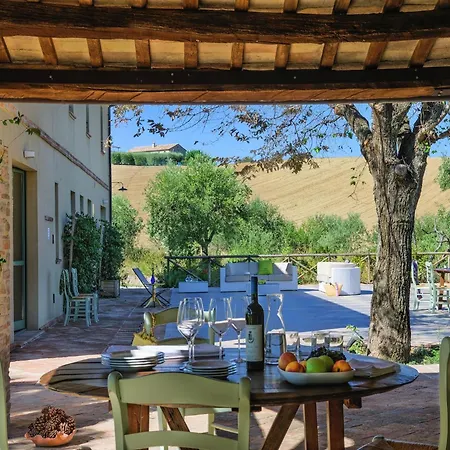 W Wine Tours Near