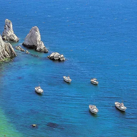 Villa W Wine Tours Near *