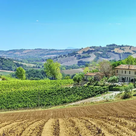 W Wine Tours Near * Barchi