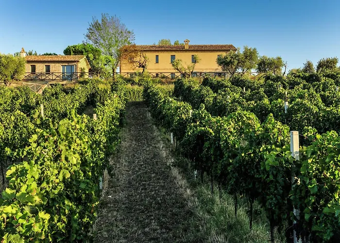 W Wine Tours Near * Barchi