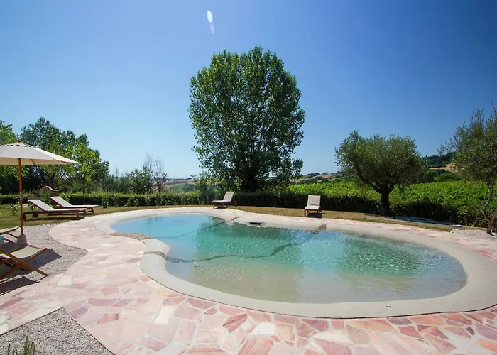 W Wine Tours Near Βίλα Barchi