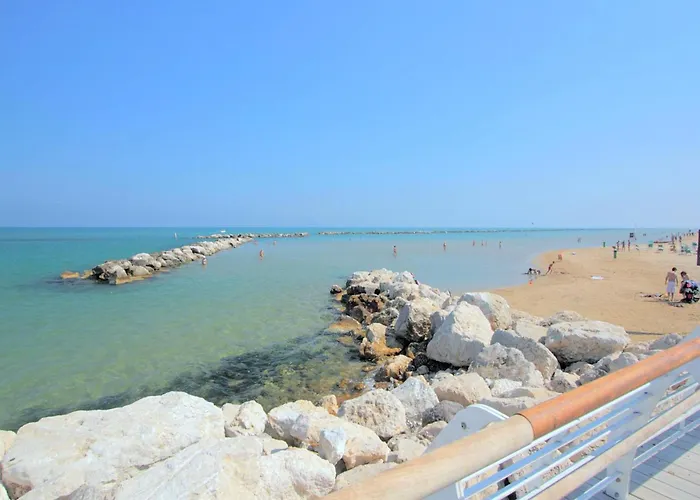 W Wine Tours Near Barchi