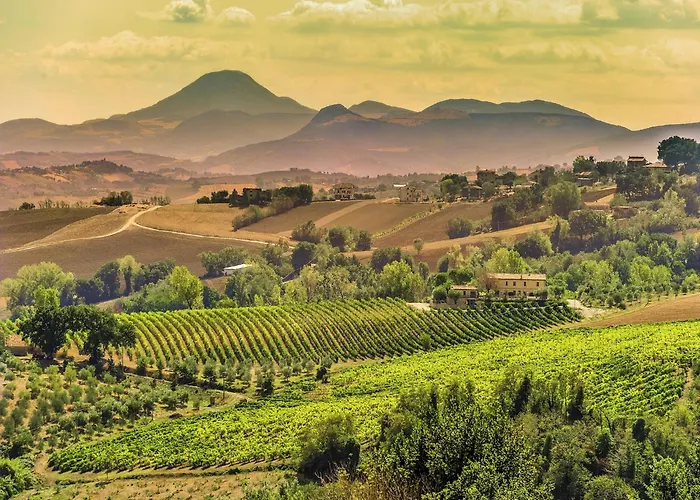 W Wine Tours Near Βίλα