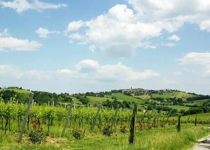 Βίλα W Wine Tours Near Barchi