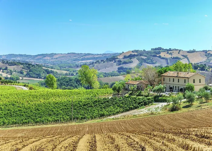 W Wine Tours Near * Barchi